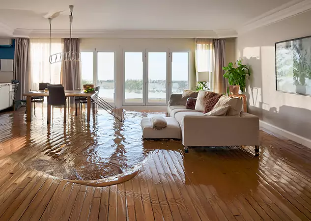 Your Trusted Water Removal Specialists in Dacula, GA