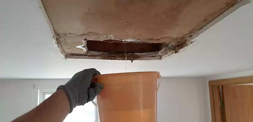Ceiling Mold Repair Dacula