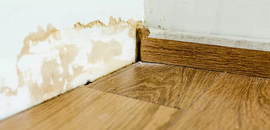 Professional Fix Water Damaged Wood Services in Dacula, GA